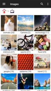 File Manager文件管理器