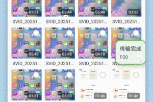 闪传app