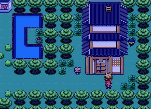 口袋妖怪：奇幻旅程