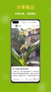 兰花交易网app