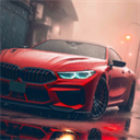 驾驶学校模拟中文版(Driving School Sim)