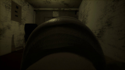 床上互动模拟器杰尼龟