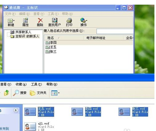 vcard文件生成器