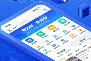 车300专业版官方版