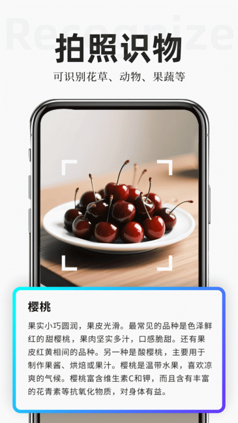 扫描专家app