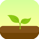 Forest最新版