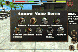 流浪狗模拟器中文版