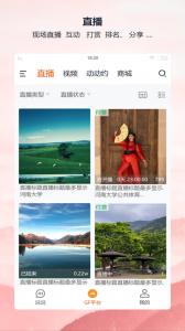 全民动动官方版