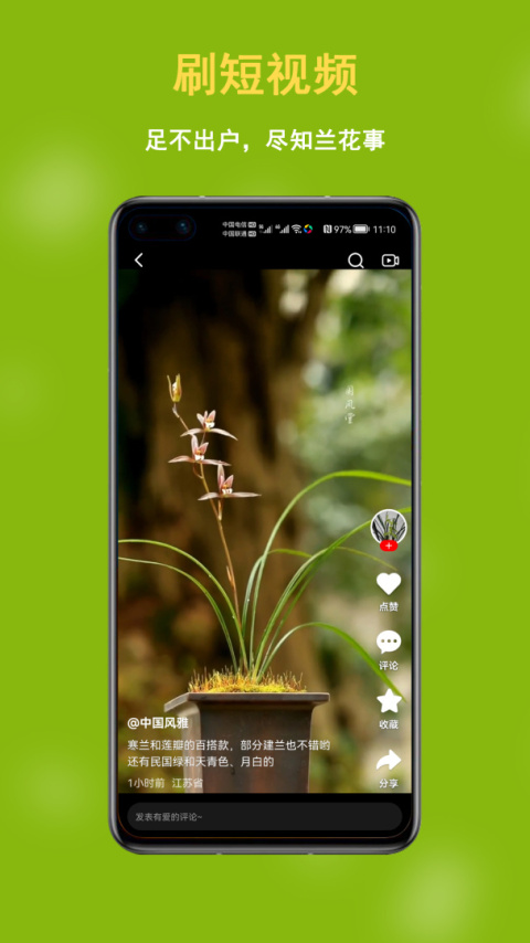 兰花交易网app