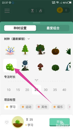 Forest最新版