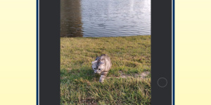 能让静态图片动起来的手机软件合集