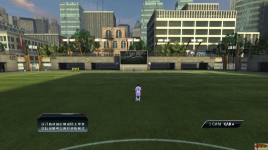 FIFA 11联机版