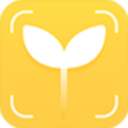 麦苗守护孩子端app