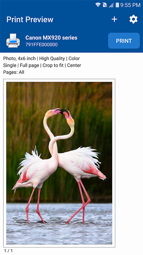 NokoPrint手机打印软件