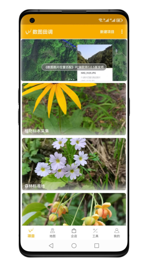 数图最新版