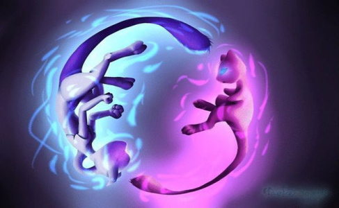 口袋妖怪四季之约(内置修改器)