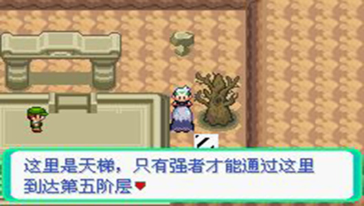 口袋妖怪漆黑的魅影5.0ex bw