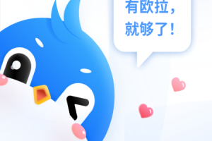 一应欧拉客户端