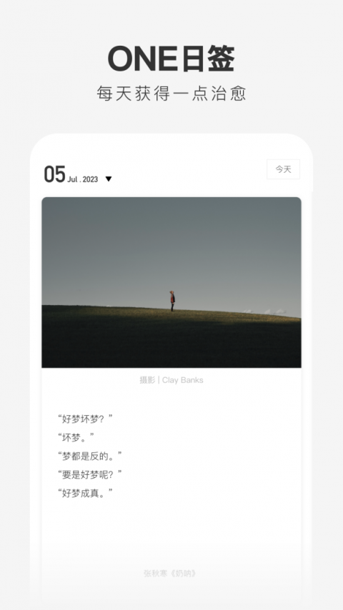 一个app