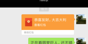 100种不准用的lsp手机软件合集