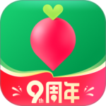 叮咚买菜官方版