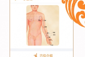 经络养生app
