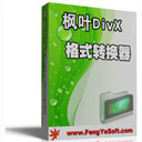 枫叶divx格式转换器