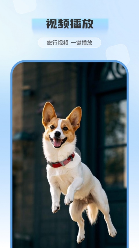 电视投屏全能王