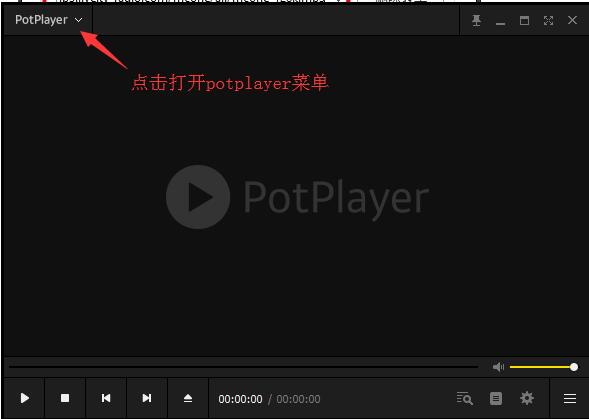 potplayer中文免费版