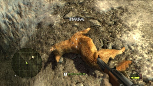 猎人的战利品2：美国