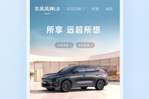 东风风神手机互联app