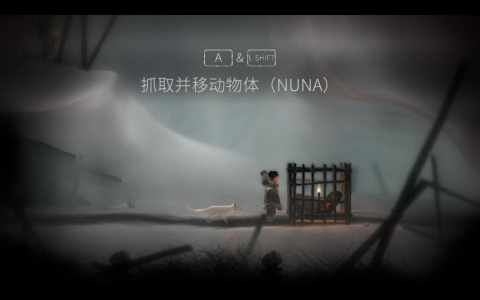 永不孤单：狐狸传说