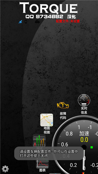 Torque车况中文版app