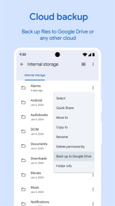 Google文件极客(Files by Google)