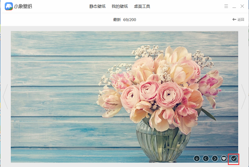 小象壁纸