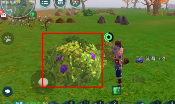 创造与魔法台服