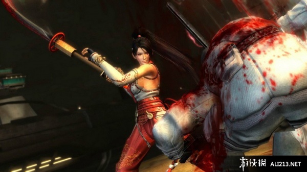 忍者龙剑传3：刀锋边缘