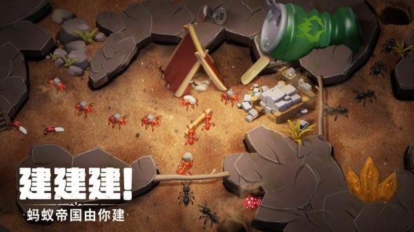 蚁族崛起腾讯版