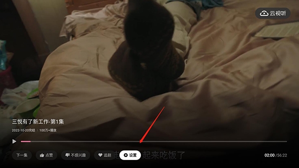 B站TV版(云视听小电视)