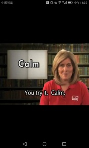 新课标高中英语单词最新版