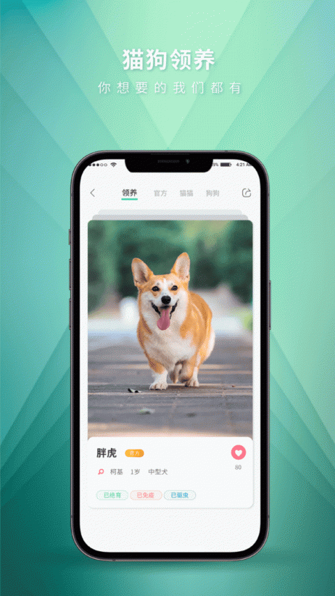 麦道宠物app