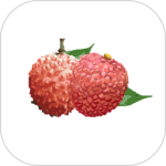 增城泊车最新版