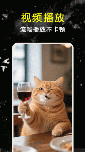 探花视频轻量版