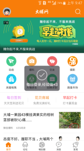 大埔网app