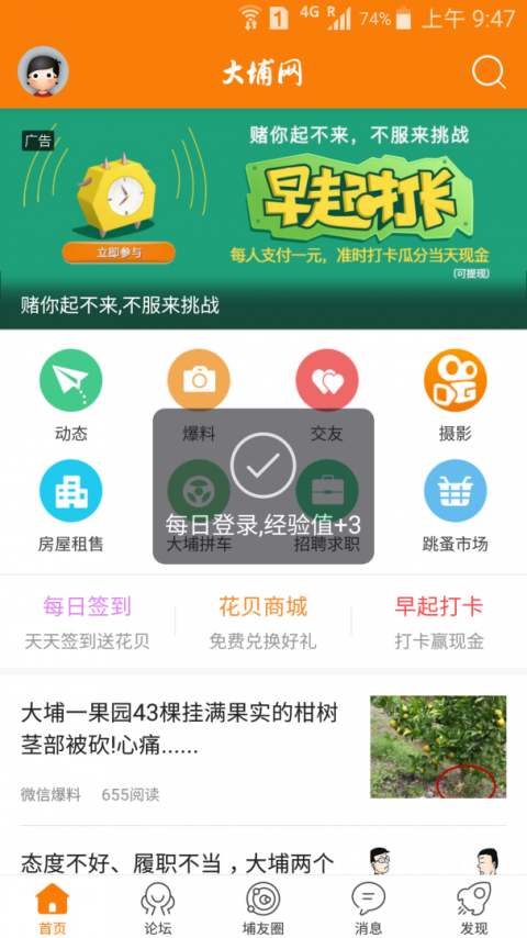 大埔网app