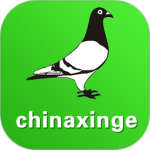 中国信鸽信息网app