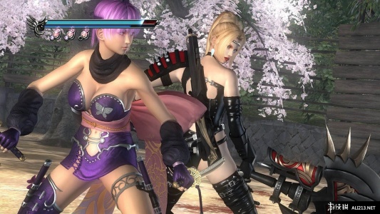 忍者龙剑传：西格玛2