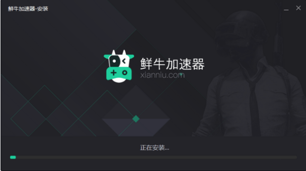 鲜牛加速器