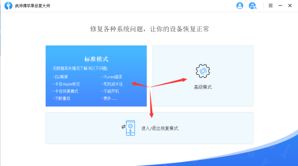 疯师傅苹果修复大师