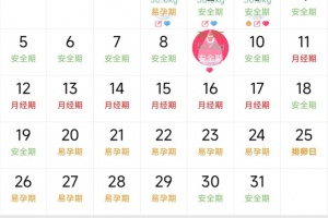 排卵期安全期日历app